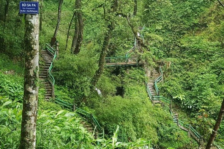 Thác Tình Yêu - Sapa