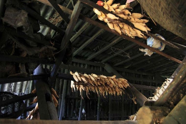 Bản Tả Phìn - Sapa