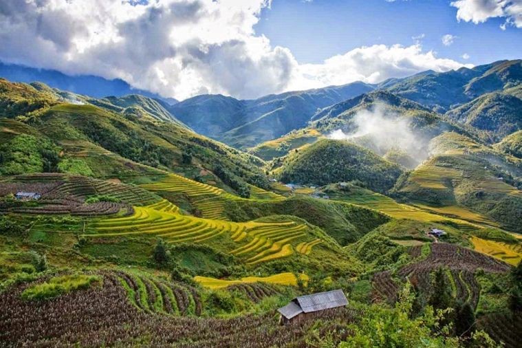 Đèo Ô Quy Hồ - Sapa