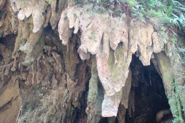 Động Cốc San - Sapa