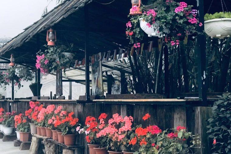 Fansipan Terrace Café - Sapa