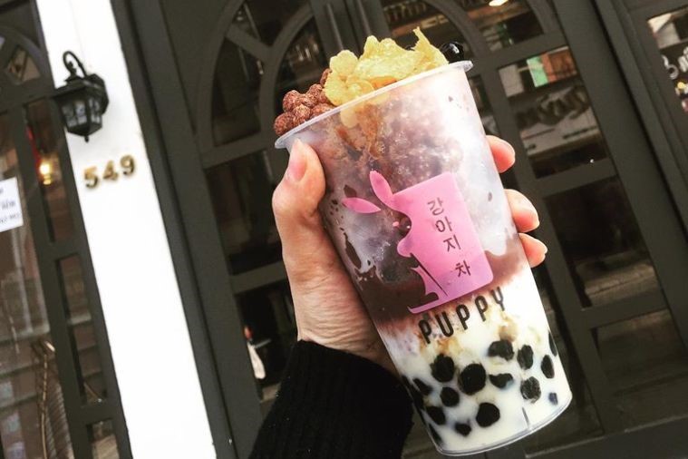 The Puppy Sapa - Sapa 