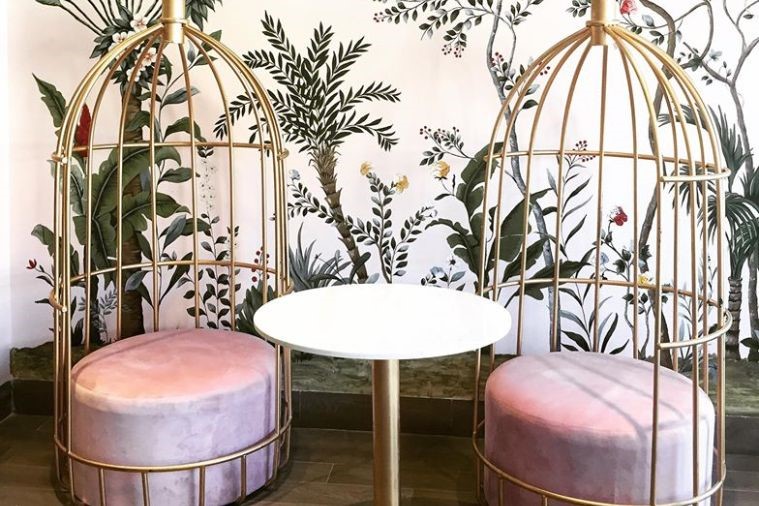 The Puppy Sapa - Sapa 