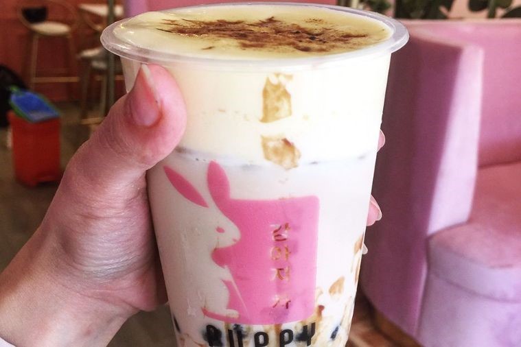 The Puppy Sapa - Sapa 