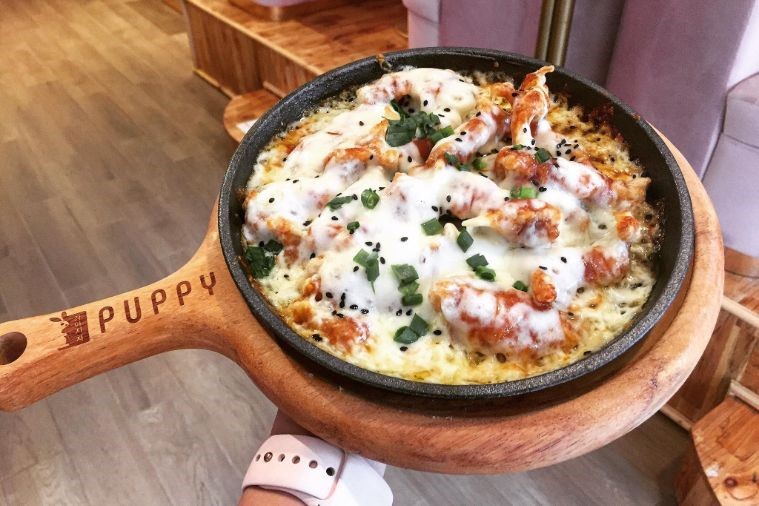 The Puppy Sapa - Sapa 