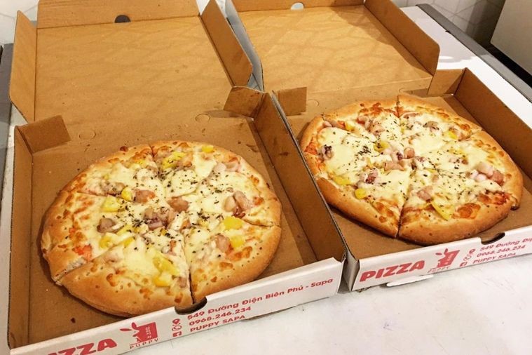 The Puppy Sapa - Sapa 