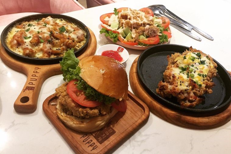 The Puppy Sapa - Sapa 