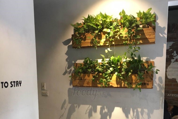 Tu Tu Coffee - Ninh Bình