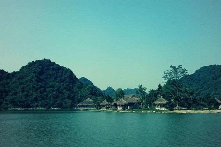 Vườn chim Thung Nham - Ninh Bình