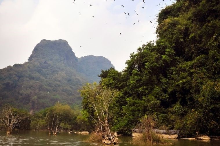 Vườn chim Thung Nham - Ninh Bình
