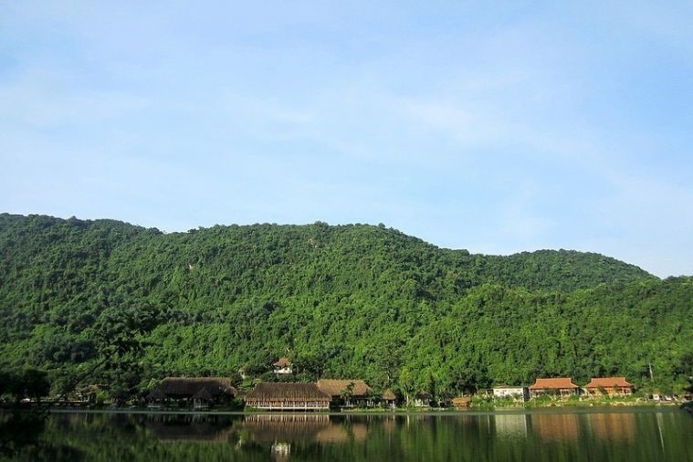 Vườn chim Thung Nham - Ninh Bình