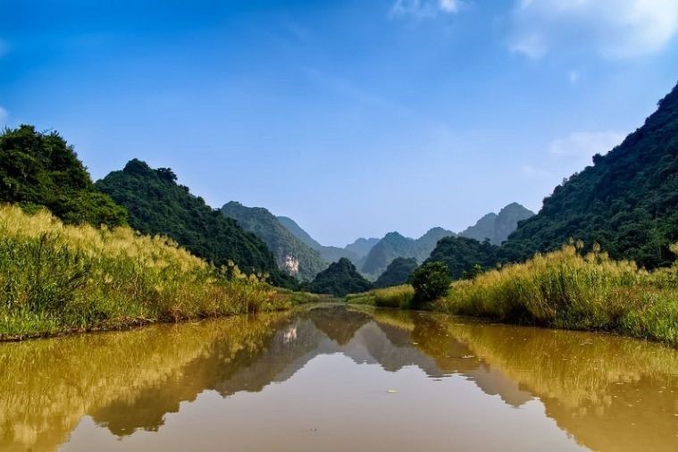 Vườn chim Thung Nham - Ninh Bình