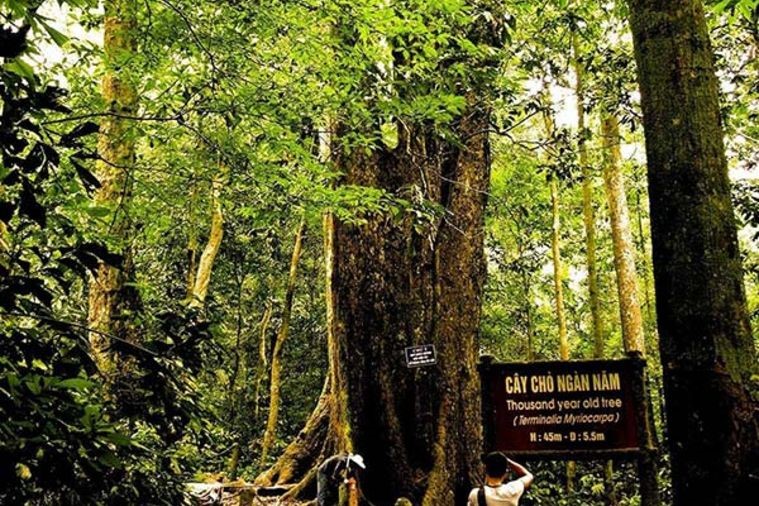 Vườn Quốc gia Cúc Phương - Ninh Bình