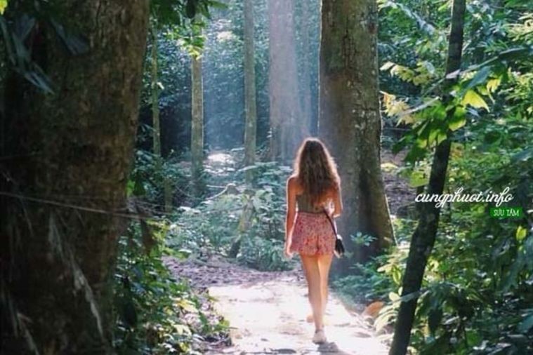 Vườn Quốc gia Cúc Phương - Ninh Bình