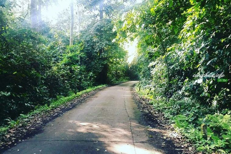 Vườn Quốc gia Cúc Phương - Ninh Bình