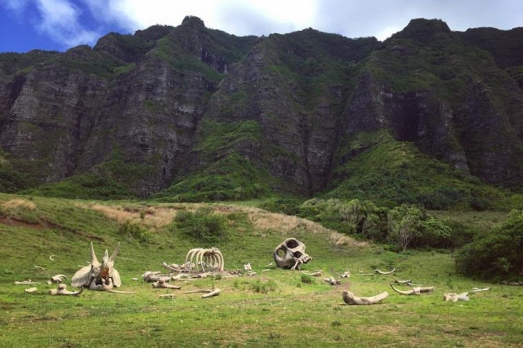 Ngôi Làng Thổ Dân - Ninh Bình