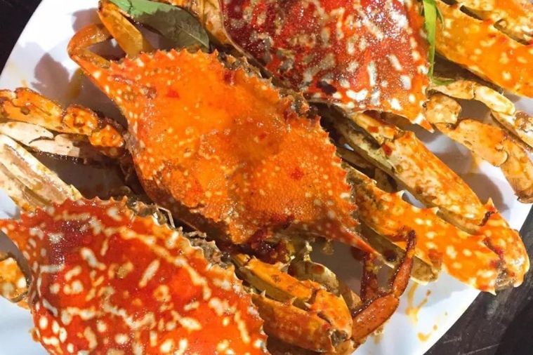 Quán Bibo - Phan Thiết