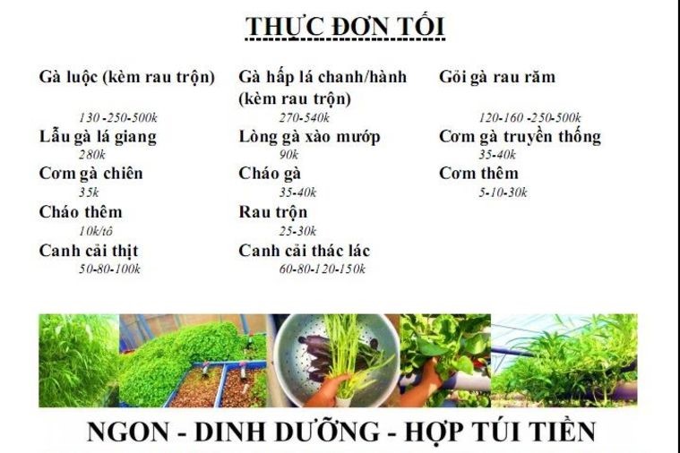 Cơm gà Hạnh Hương - Phan Thiết