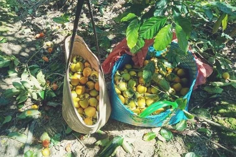 Cửa hàng cà phê và trái cây Năm Ấy - Phan Thiết