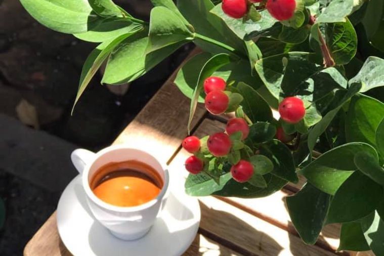 Macchio coffee - Phan Thiết