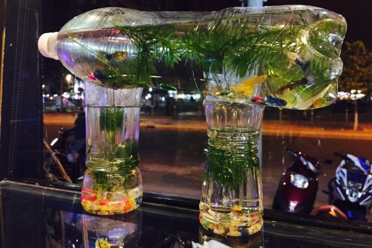 Mila Cafe & Food - Phan Thiết