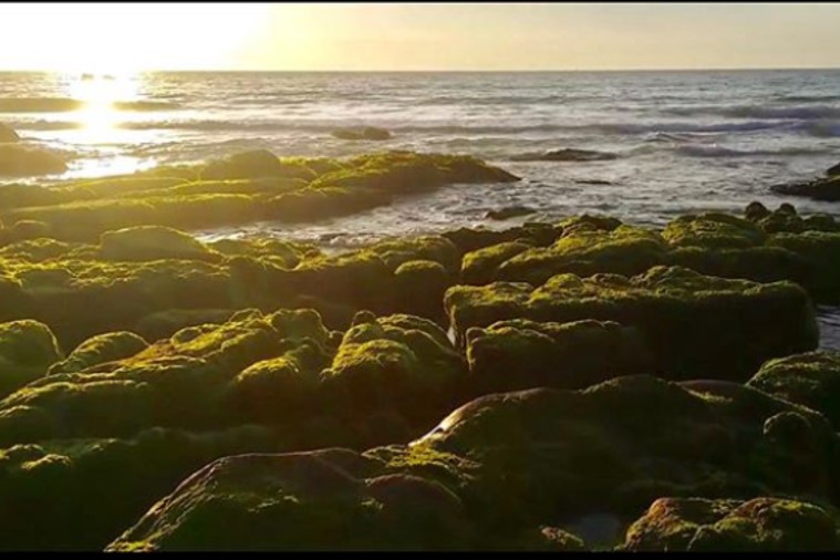 Bãi đá Cổ Thạch - Phan Thiết