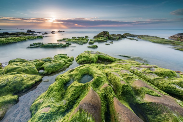 Bãi đá Cổ Thạch - Phan Thiết