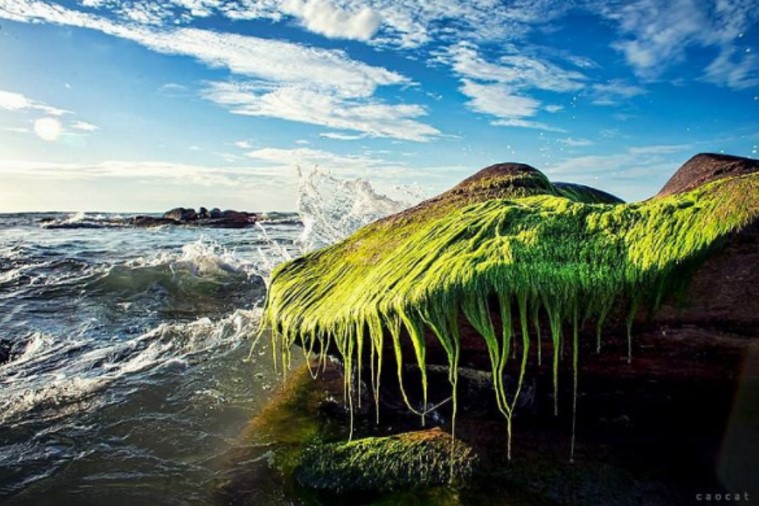 Bãi đá Cổ Thạch - Phan Thiết