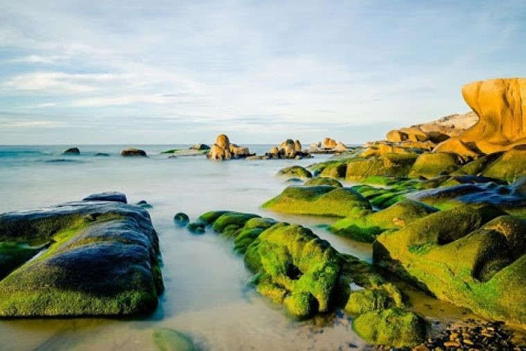 Bãi đá Cổ Thạch - Phan Thiết