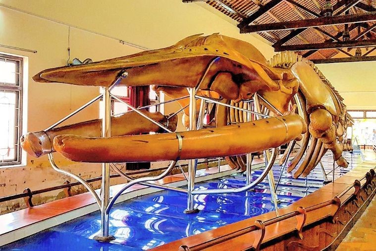 Dinh Vạn Thủy Tú - Phan Thiết