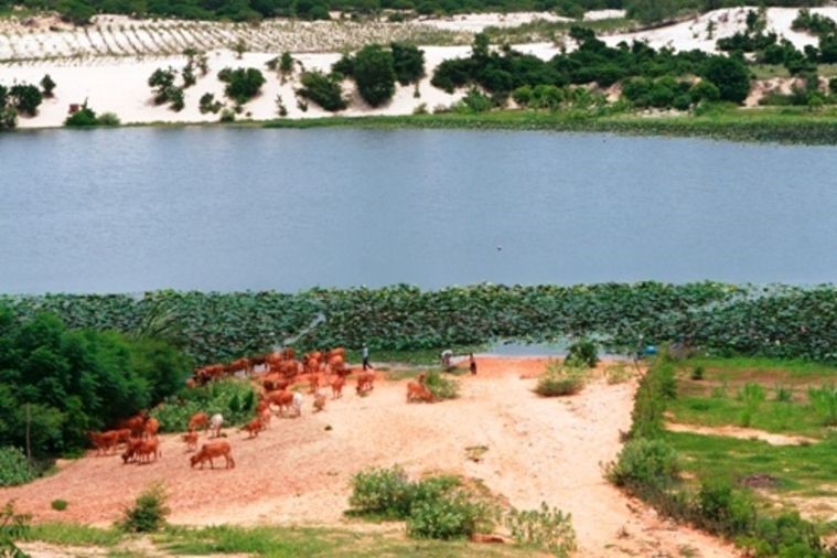 Bàu Trắng – Bàu Sen - Phan Thiết