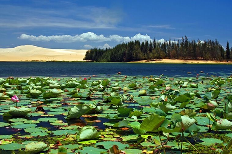 Bàu Trắng – Bàu Sen - Phan Thiết