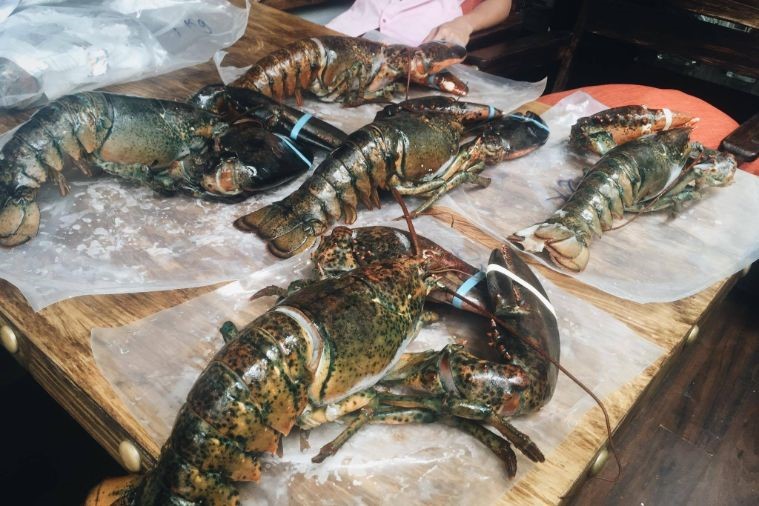 Gia – The Organic Wine Cellar - Nha Trang