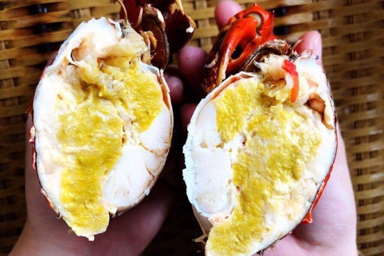 Gia – The Organic Wine Cellar - Nha Trang