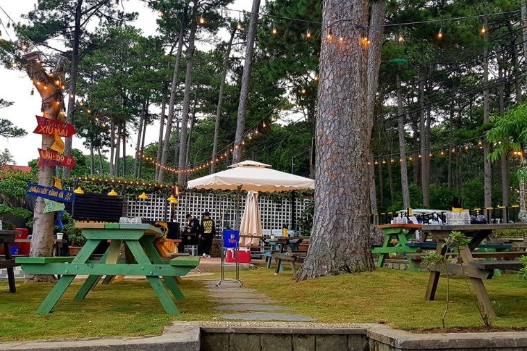 Warning Zone - Đà Lạt