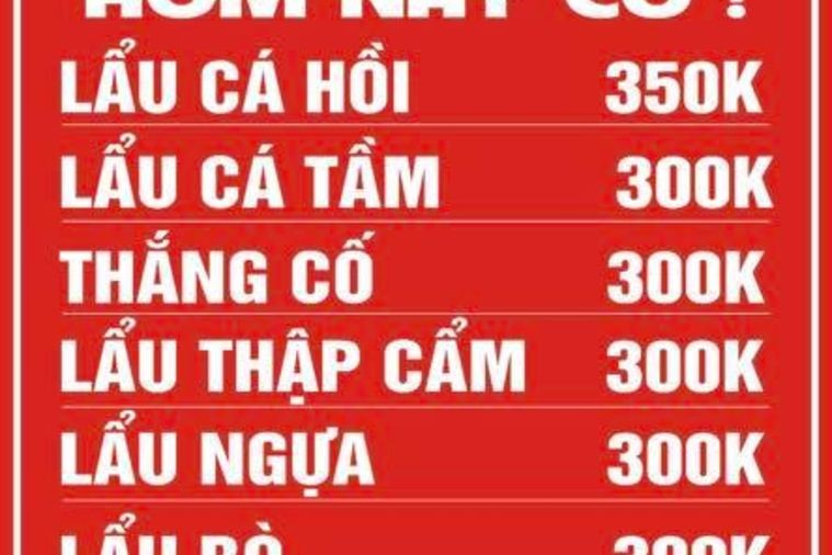 Hoa Trà Quán - Sapa