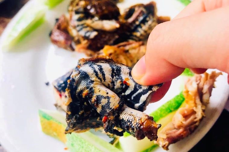 Vietnam Home - Phan Thiết