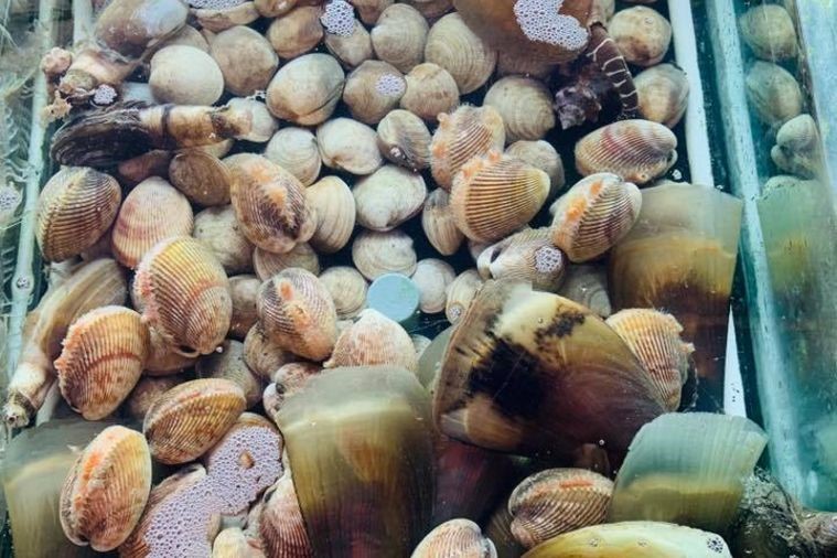 Nhà hàng Chúc Xíu - Phú Yên