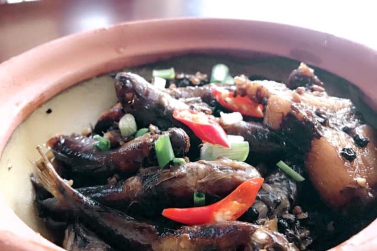 Tnk's House - Hạ Long