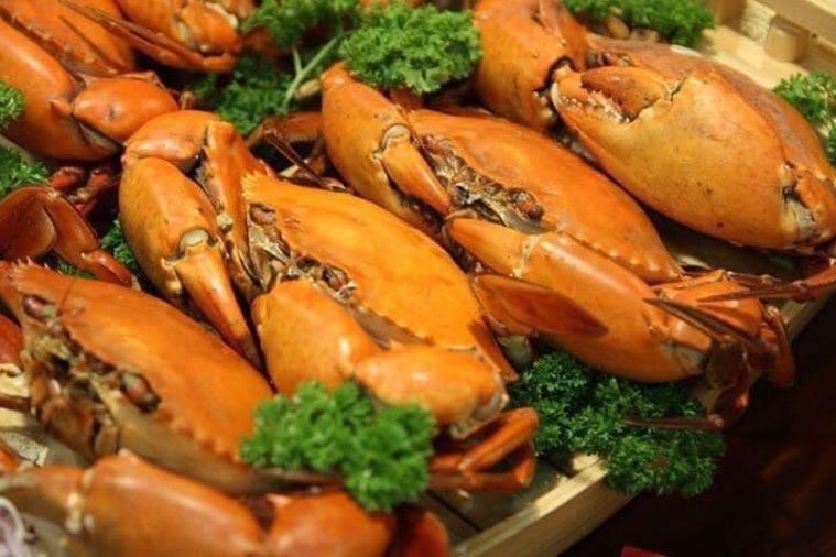 Nhà Hàng Hải Sản Canary Tuy Hòa - Phú Yên