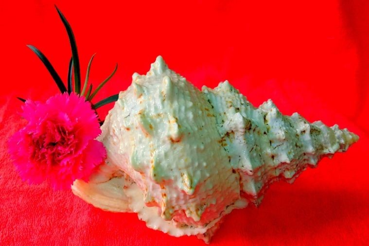 Quà lưu niệm đặc sản - Phú Yên