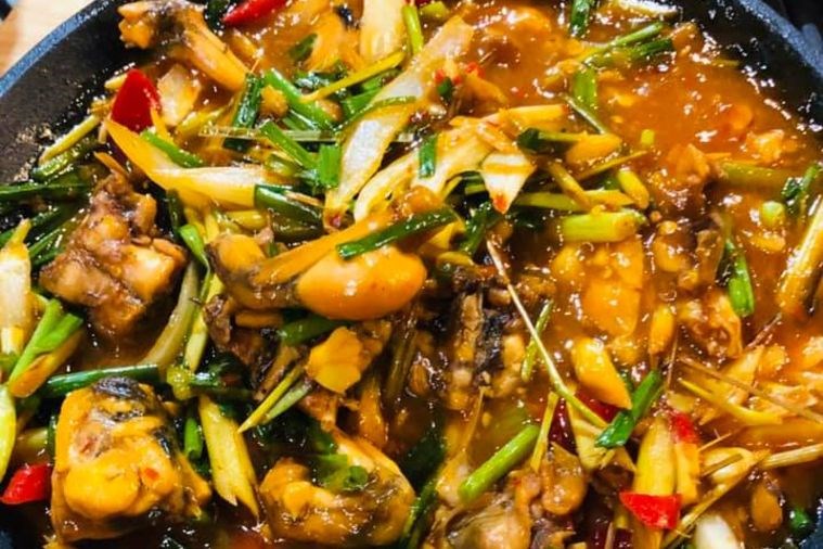 Hari Tori - Đà Nẵng