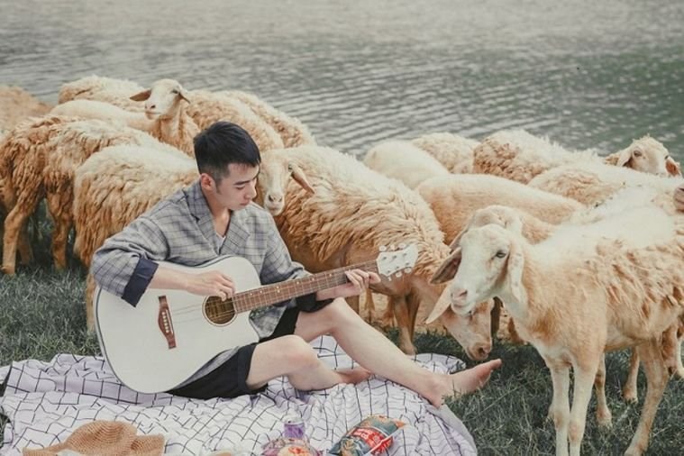 Đồng cừu Gia Hưng - Ninh Bình