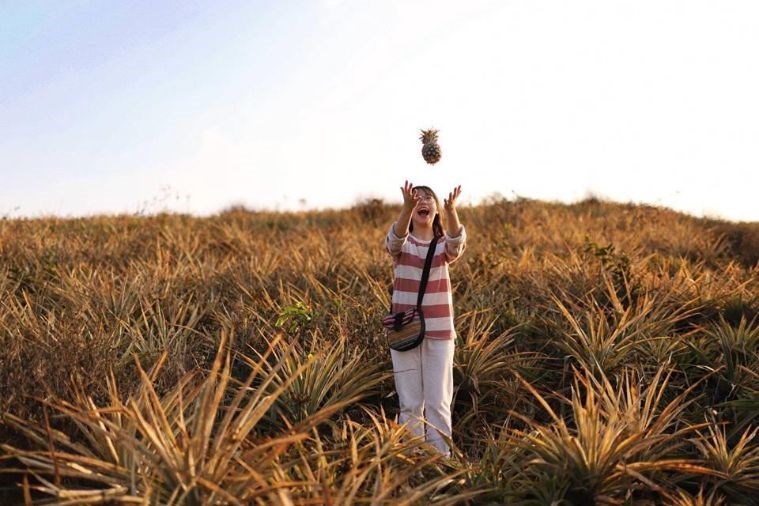 Đồi dứa Tam Điệp - Ninh Bình