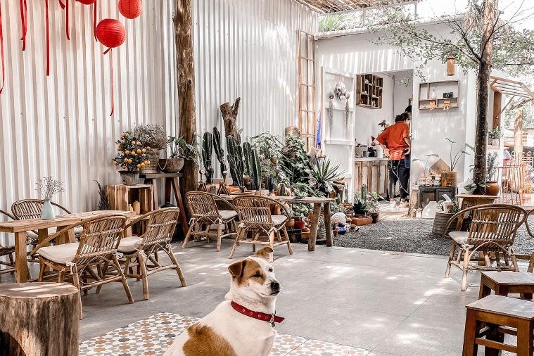 Cam Coffee n more - Hội An