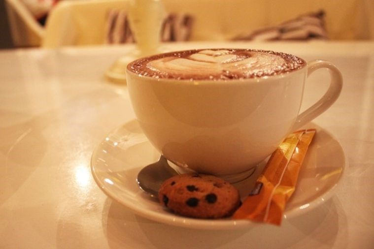 City Fox Bistro - Nha Trang