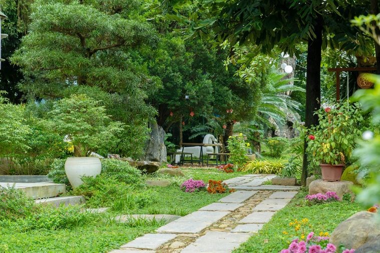 An Nhien Garden Vegetarian - Nhà Hàng Chay & Cafe - Huế