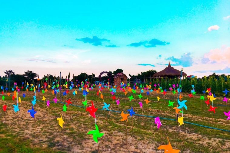 Nông trại Green Life Farm Huế