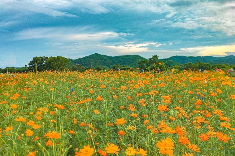 Nông trại Green Life Farm Huế