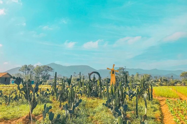 Nông trại Green Life Farm Huế